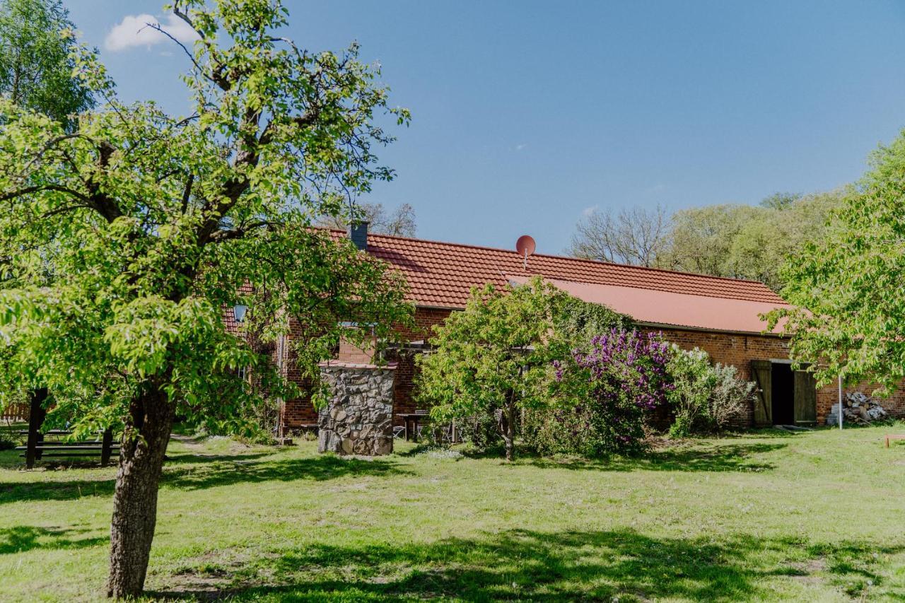 Landhaus Goldene Gans Gross Pankow  ภายนอก รูปภาพ